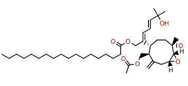 Azamilide J